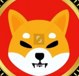 Shiba Inu